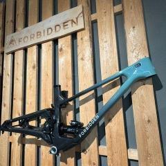 Forbidden Druid V2 Frameset 2026 – Stoner Witch / Sage Wisdom